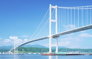 郑州桥用钢丝绳